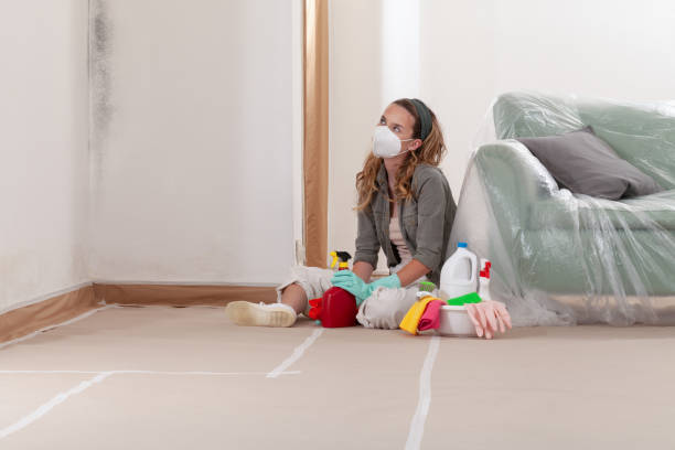 Reliable Mold Cleanup contractor in Mound, MN by WQB Mold Removal